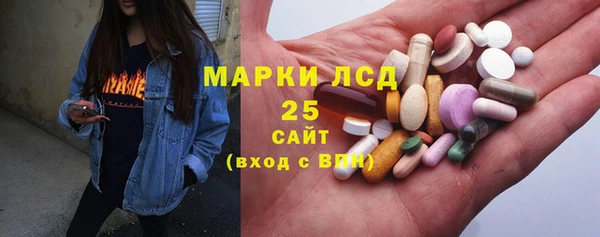 ПСИЛОЦИБИНОВЫЕ ГРИБЫ Инта