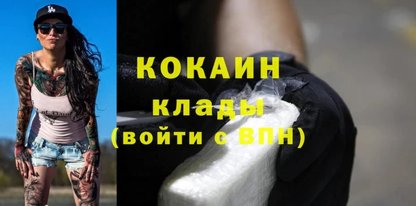 ПСИЛОЦИБИНОВЫЕ ГРИБЫ Инта
