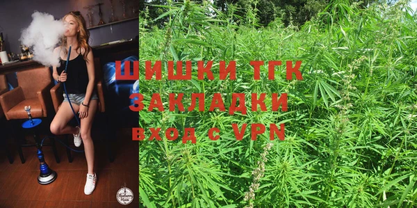 ПСИЛОЦИБИНОВЫЕ ГРИБЫ Инта