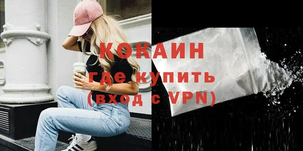 ПСИЛОЦИБИНОВЫЕ ГРИБЫ Инта