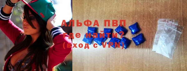 ПСИЛОЦИБИНОВЫЕ ГРИБЫ Инта