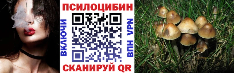 Галлюциногенные грибы Cubensis  kraken tor  Краснокамск 