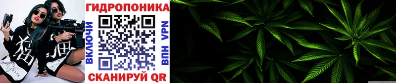 Шишки марихуана White Widow Краснокамск
